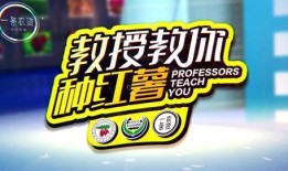 地瓜爆料视频大全,揭秘幕后真相，带你走进事件核心