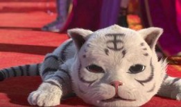 红魔最新官方爆料视频下载,官方爆料视频揭示神秘性能与设计